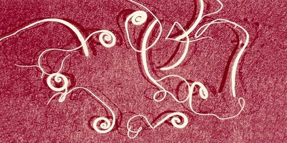 oxiuros del cuerpo humano