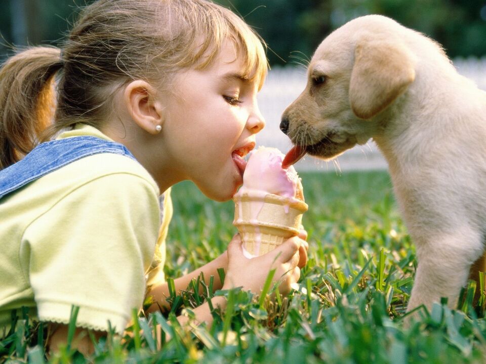 la niña y el perro comen helado y se infectan de parásitos